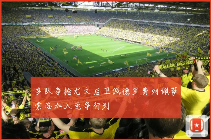 多队争抢尤文后卫佩德罗费利佩萨索洛加入竞争行列